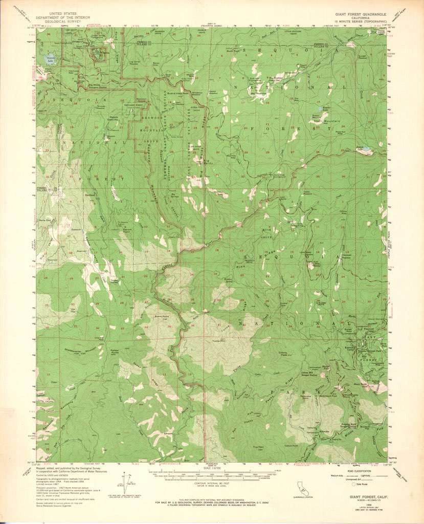 Giant Forest Calif 1956
